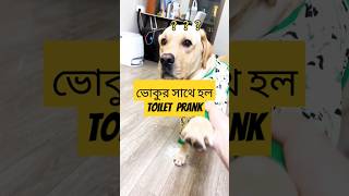 Vokur সাথে toylet Prank করল মালিক🤣🤣🤣trending funny [upl. by Askari]