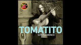 Tomatito Soy Flamenco 2013 La Fuentecica Soleá [upl. by Nessie867]