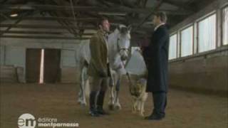 Rex chien flic  Le Cheval Qui Valait Des Millions Extrait [upl. by Brose835]