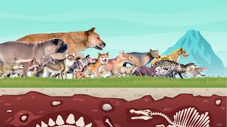 Dog Evolution  Dog Size Comparison Living and Extinct [upl. by Enilekaj]