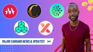 MASSIVE Cardano NEWS  Bullish Builders Cornucopias MELD Pavia Genius Yield amp GeniusX Updates [upl. by Landes]