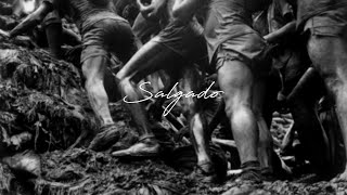 Sebastião Salgado Body amp Soul I Photographers Profiles [upl. by Villada]