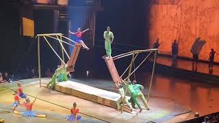 Cirque du Soleil “ Drawn to Life” and Aurora Borealis in North Florida [upl. by Gilemette]