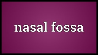 Nasal fossa Meaning [upl. by Iene307]