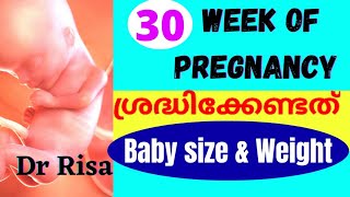 30 Weeks Of Pregnancy Malayalam  Pregnancy Week by Week [upl. by Senga]