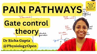 Pain physiology mbbs 1st year pain pathways endogenous pain relief system [upl. by Zasuwa]