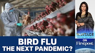 Bird Flu Outbreak quot100 Times Worsequot Than Covid Pandemic says Experts  Vantage with Palki Sharma [upl. by Bonilla]