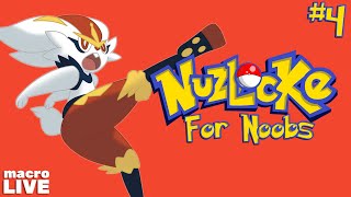 The Sweep  NUZLOCKE  For Noobs 4 [upl. by Auhsot]