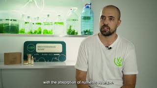 Caso de éxito del programa GREENinMED  Mediterranean Algae [upl. by Ruhtua]