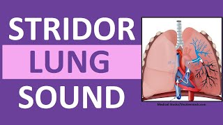 Stridor Sound Breathing Sounds Abnormal Lung Sounds [upl. by Dlnaod]