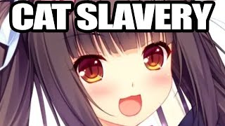 we SHOULDNT have played NEKOPARA [upl. by Savannah]