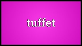 Tuffet Meaning [upl. by Ayote]