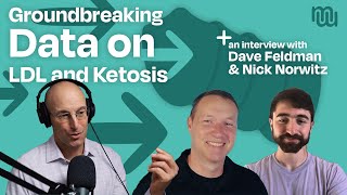 Cholesterol amp Heart Health Insights from LDL Research on Keto with Dave Feldman amp Nick Norwitz PhD [upl. by Falda]