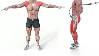 10 Minutes Standing Warming Up Exercises [upl. by Gnut]