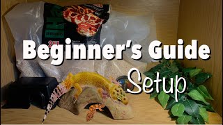 Simple Leopard Gecko Setup 2023 Beginner’s Setup Guide [upl. by Winsor]