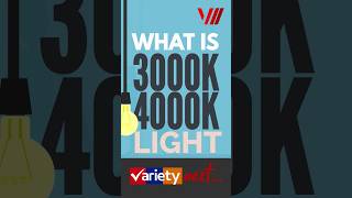 What is 3000K 4000K Light 3000k 4000K light WHITElight viral viralshorts video varietynext [upl. by Hamish250]