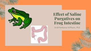 Effect of Saline Purgatives on Frog Intestine [upl. by Nessim]