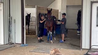 OwnAStandardbred Fractional Ownersip Group July 2024 [upl. by Epotimet]