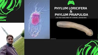 PHYLUM LORICIFERA [upl. by Hera]