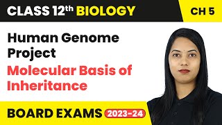 Human Genome Project  Molecular Basis of Inheritance  Class 12 Biology Chapter 5  CBSE 202425 [upl. by Catherina]