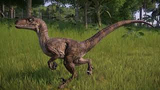 Velociraptor Mongoliensis Sound Effects 3 [upl. by Oettam204]