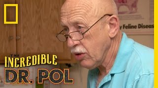 Yolk My Chicken  The Incredible Dr Pol [upl. by Lapides792]