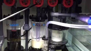 Red Sea Reefer 350 A clean complete sump setup [upl. by Estelle]