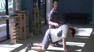 Lumbar and Thoracis Extension with the E Cise of the Week  Static Extension Position [upl. by Nedarb]