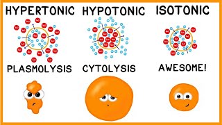 Hypertonic Hypotonic and Isotonic Solutions [upl. by Awjan]