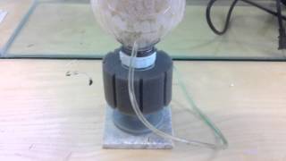 DIY K1 Kaldnes Bottle Filter [upl. by Merrilee117]