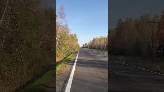 White lines on a very quiet country road [upl. by Joelly]