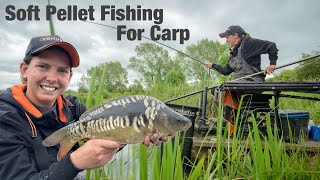 Soft Pellet Fishing For Carp  Kiveton Waters [upl. by Isyed]