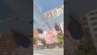 Realistic Plane Crash Into Building 😱 [upl. by Erv]