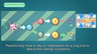 Allergy allergy treatment allergen immunotherapy allergy shots  CAAC [upl. by Aneleve]