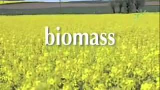 All About Biomass Fuels [upl. by Landel]