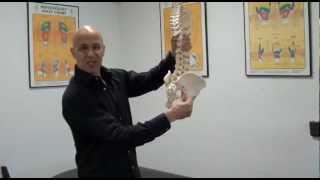 Immediate Relief Exercise for Piriformis Syndrome  Sciatica  Pinched Nerve  Dr Mandell [upl. by Torres]