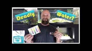 Why Are My Nitrates Still So High in My Planted Aquarium How to Fix amp Do WAY Less Water Changes [upl. by Mages184]