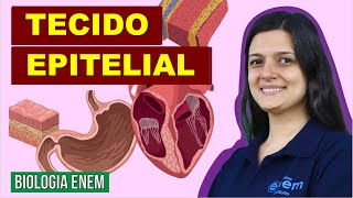 TECIDO EPITELIAL Resumo de Biologia para o Enem [upl. by Suzan]