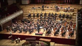 Harry Potter and the Deathly Hallows theme Auckland Symphony Orchestra Alexandre Desplat [upl. by Roe937]