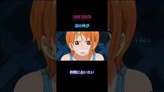 【ONE PIECE】「仲間に会いたい」shorts anime ワンピース onepiece [upl. by Negriv]