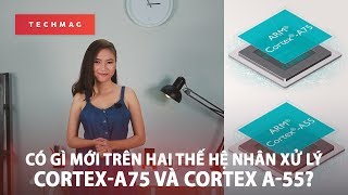 Có gì mới trên hai thế hệ nhân xử lý CortexA75 và Cortex A55 [upl. by Miche99]