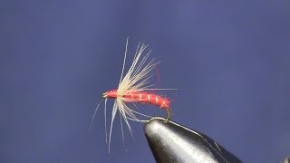 Gray Hackle Red Beginners Fly Tying Series Episode 6 Holsingers Fly Shop [upl. by Nailimixam]