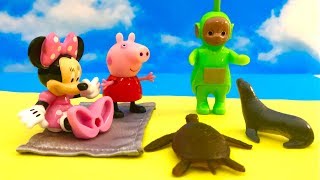 Teletubisie Myszka Minnie i Swinka Peppa  Bajka po Polsku  Zwierzaki na plazy [upl. by Navetse]