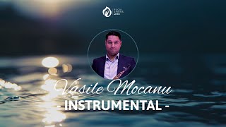 Vasile Mocanu  Instrumental  Oficial Audio [upl. by Deborah256]