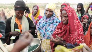 La Spiruline au Tchad [upl. by Riella350]