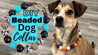 Beaded Dog Collar Tutorial  Leash Compatible  DIY dog dogaccessories beaded collar [upl. by Auhsot]