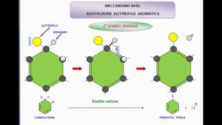 BENZENE  Reazione di Sostituzione Elettrofila Aromaticamp4 [upl. by Naic]