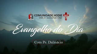 Homilia Diária Evangelho Mt 761214  25 de Junho [upl. by Regdor]