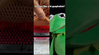 Do you like a Trypophobia  Obogki Funniest Reaction [upl. by Nosneb515]