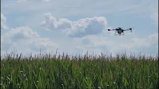 Cron spraying in USA BROUAV agriculture drone U60 [upl. by Catto]